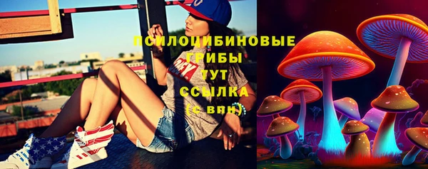 мяу мяу мука Алексин