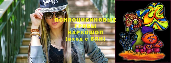мяу мяу мука Рославль