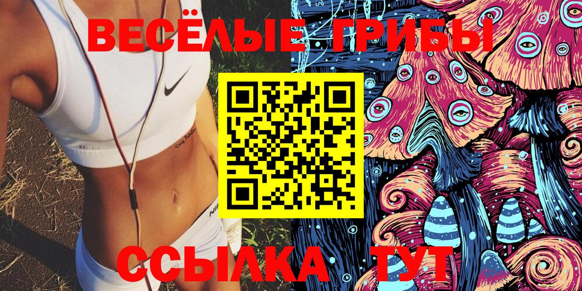 Галлюциногенные грибы Magic Shrooms  что такое наркотик  Котельники  Галлюциногенные грибы мухоморы  Вход с VPN 