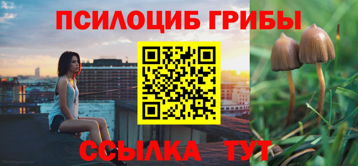 Псилоцибиновые грибы прущие грибы Котельники